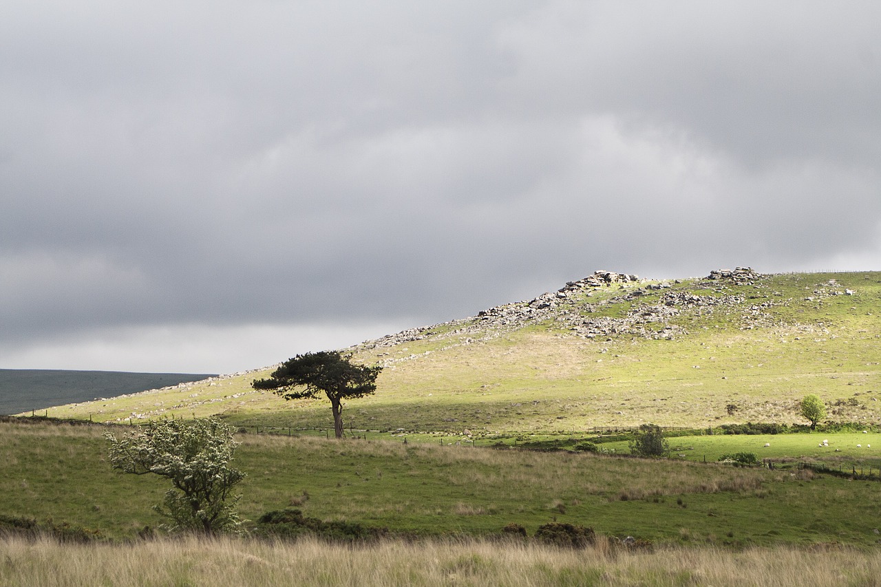 dartmoor tor devon free photo