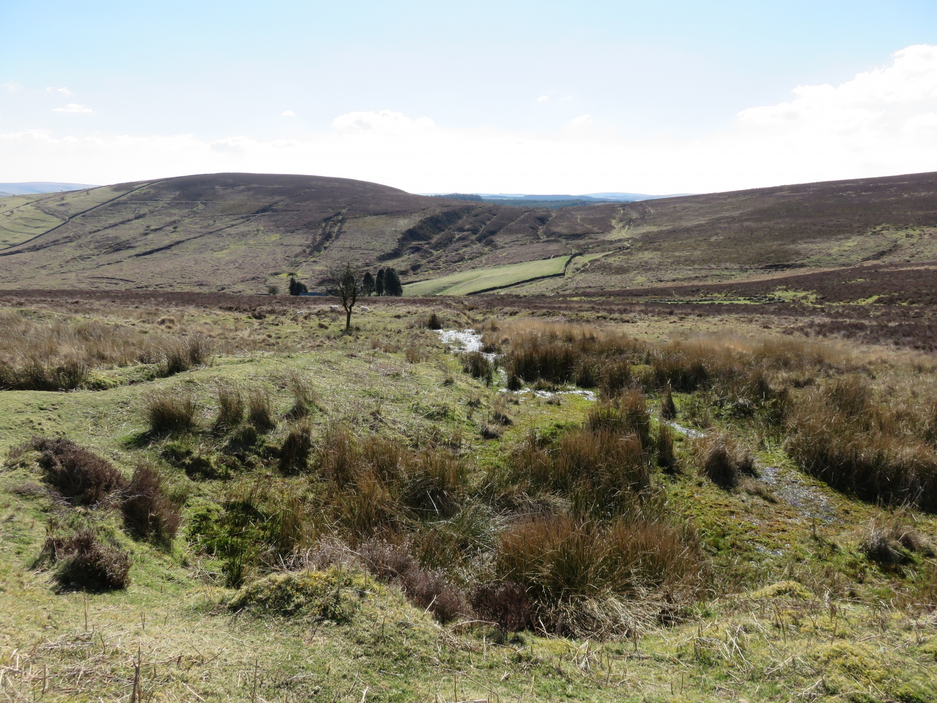 dartmoor moorland hills free photo
