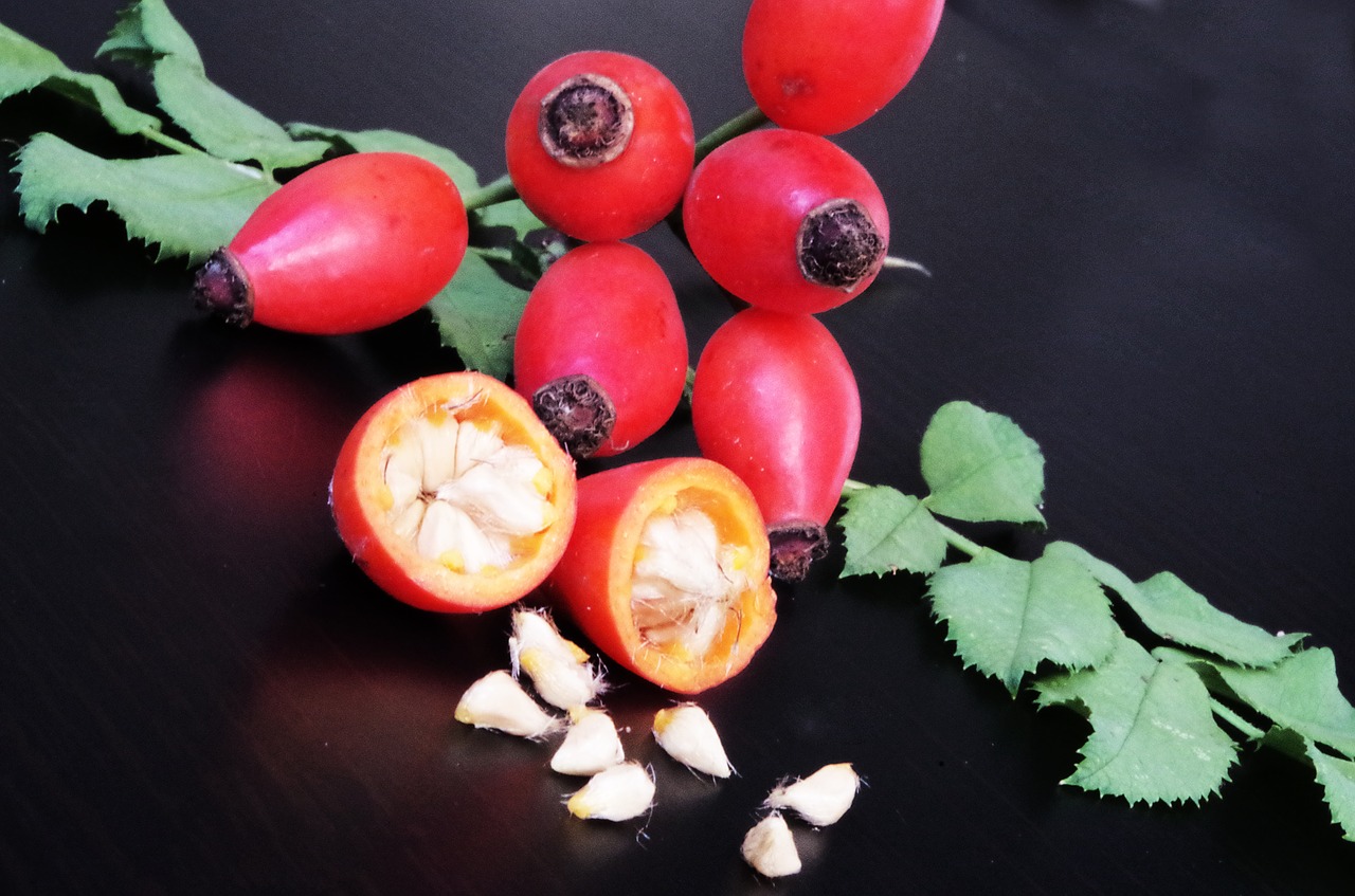 darts fruits eglantine free photo