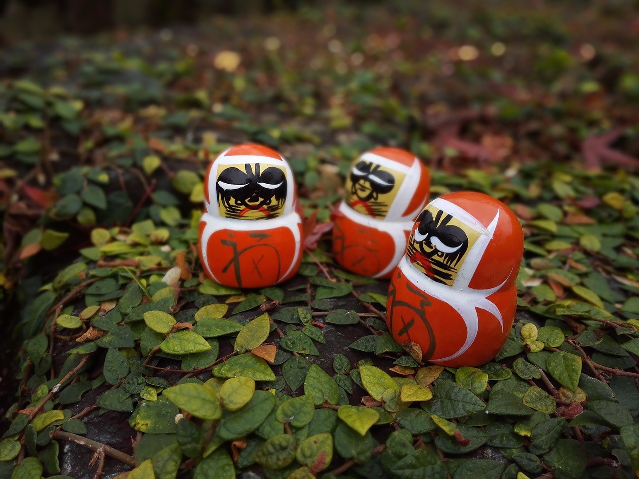 daruma doll dharma tumbling doll free photo