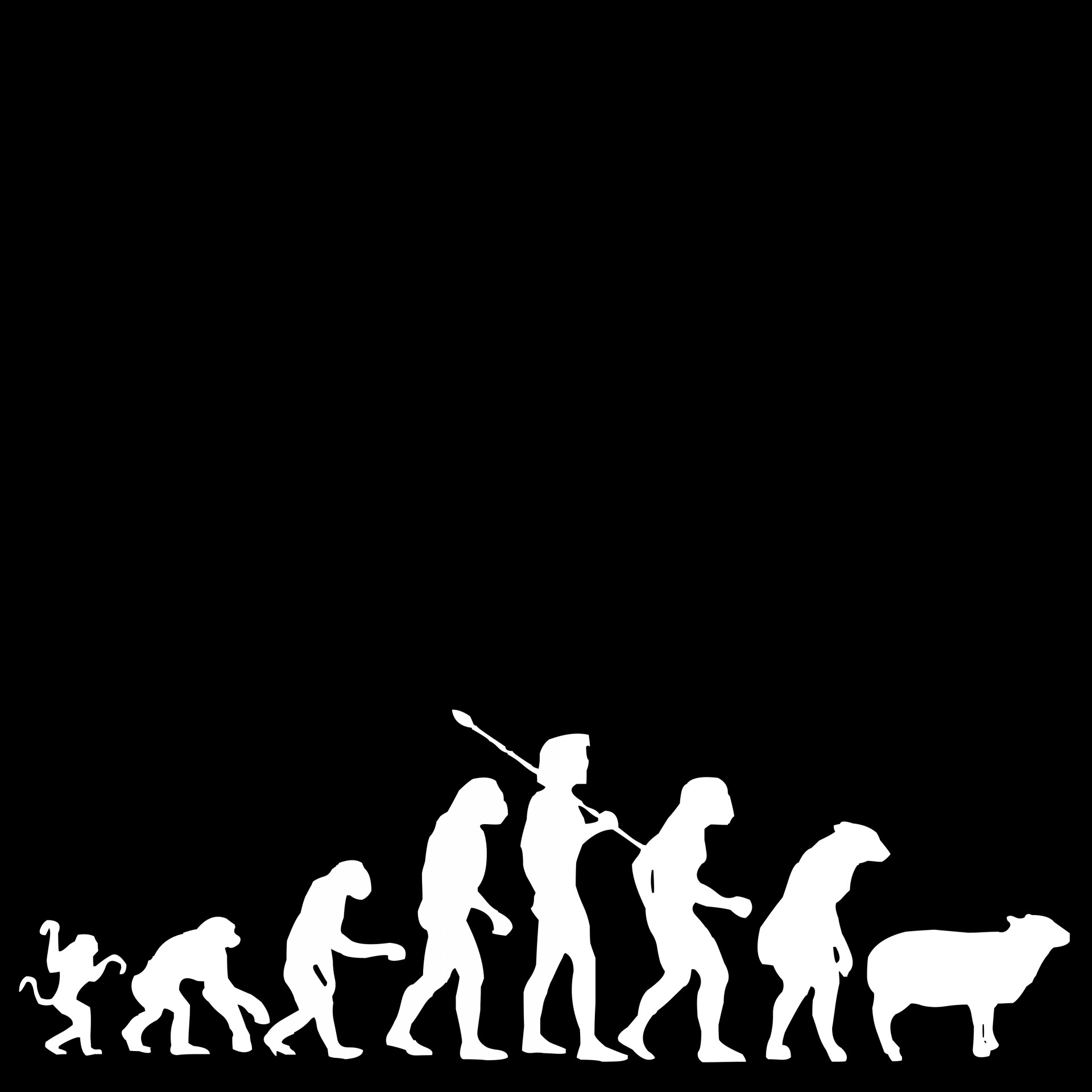 drawing darwin evolution free photo