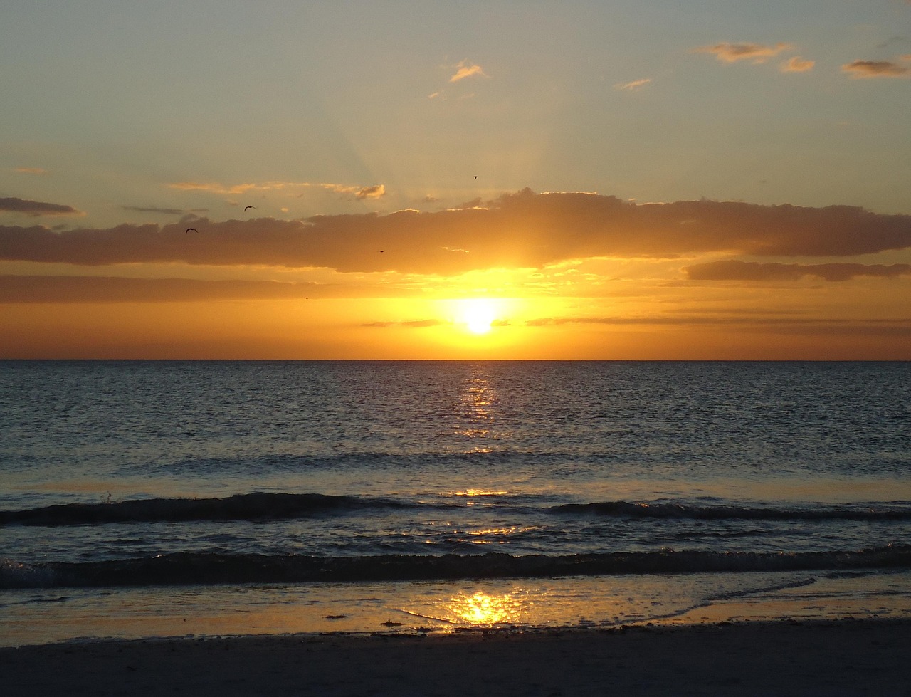 dawn sunrise at sea sun free photo