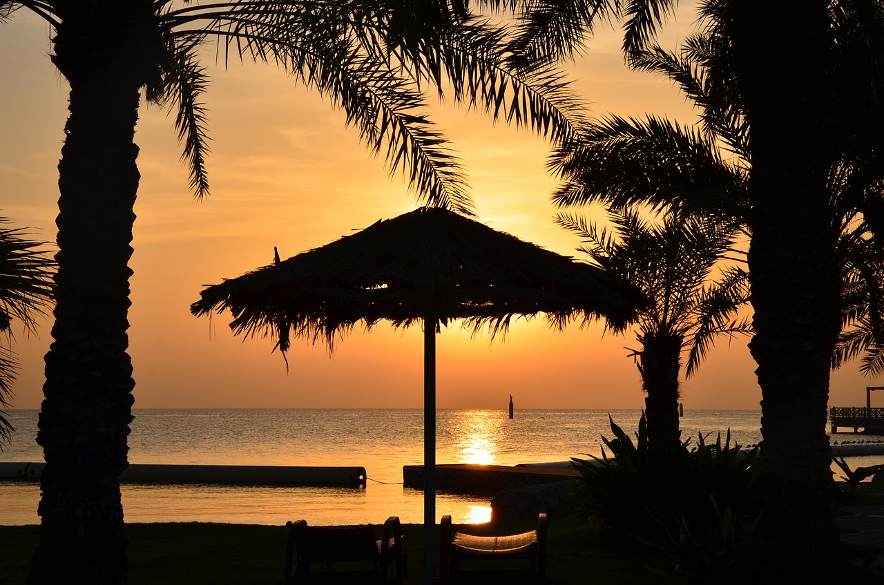 palm dawn sunrise free photo