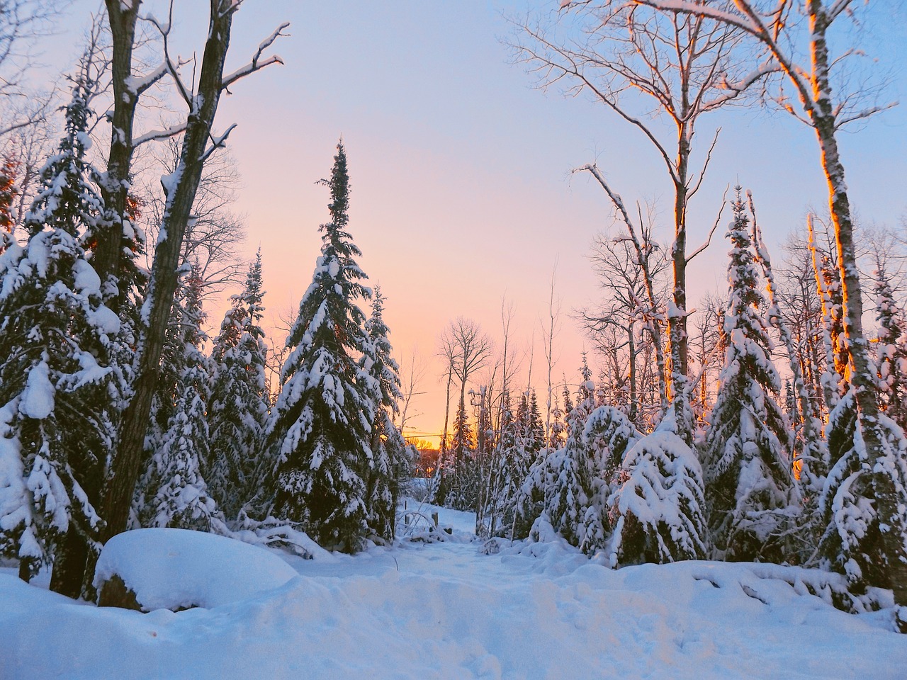 dawn winter landscape free photo