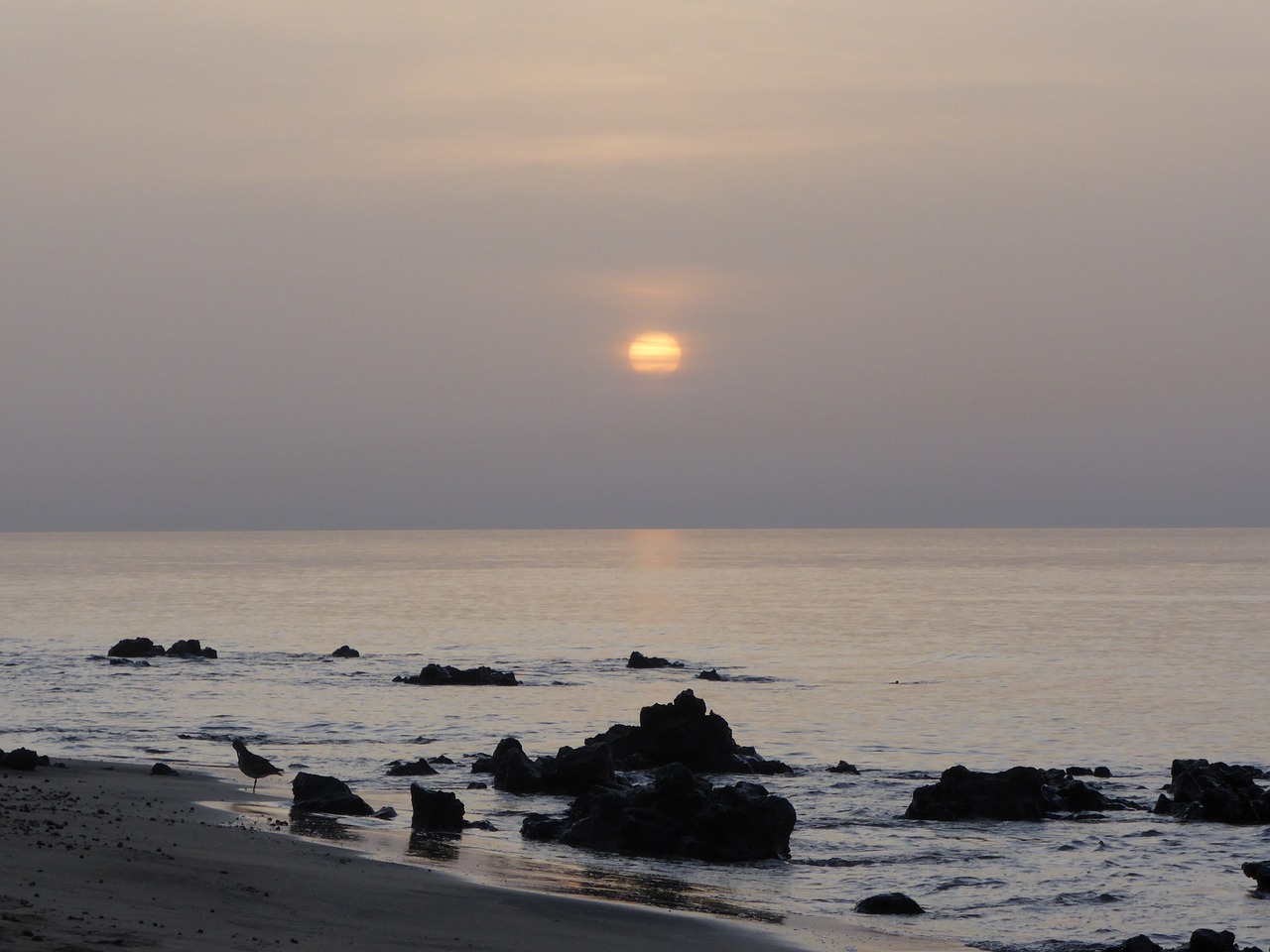 dawn coast sky free photo