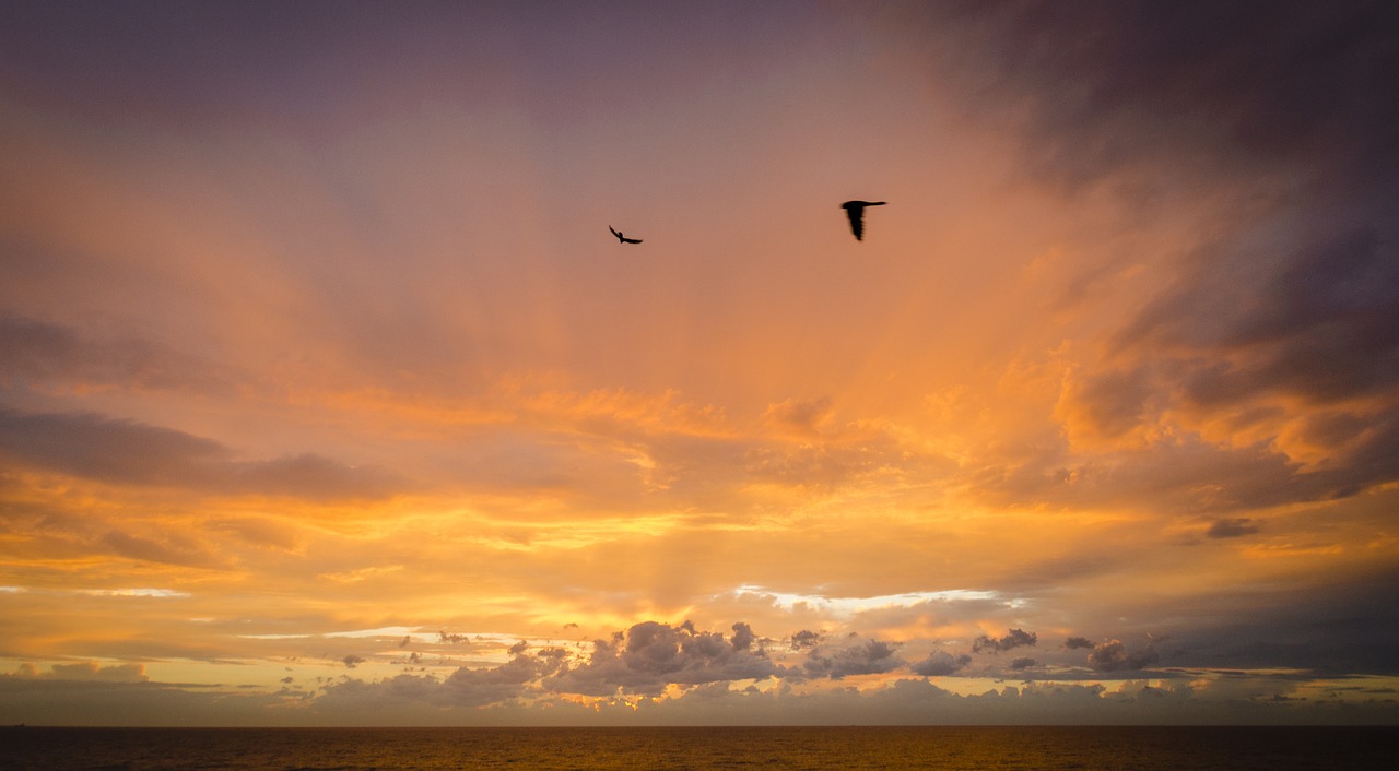 dawn sea valencia free photo