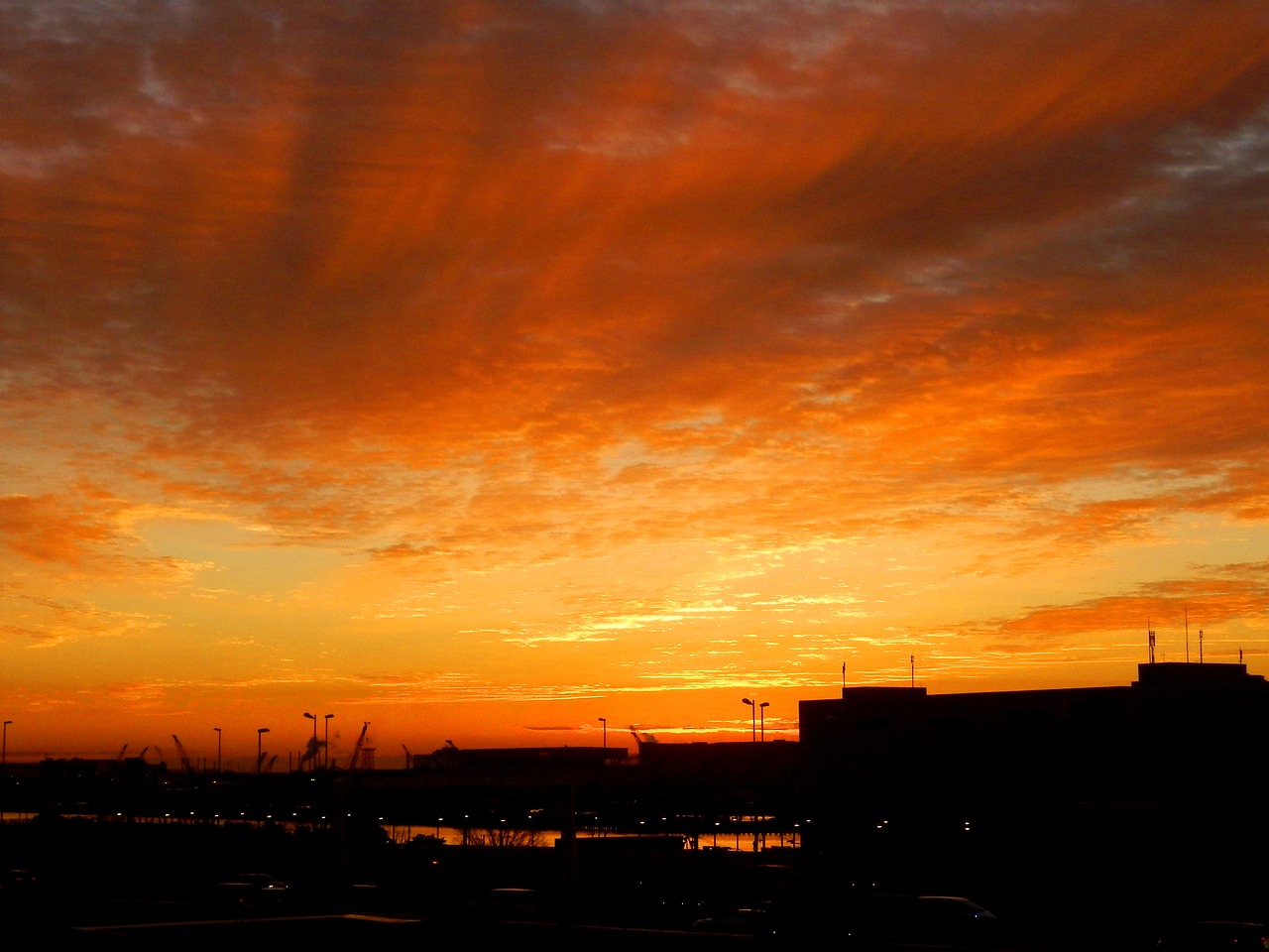 dawn morning silhouette free photo