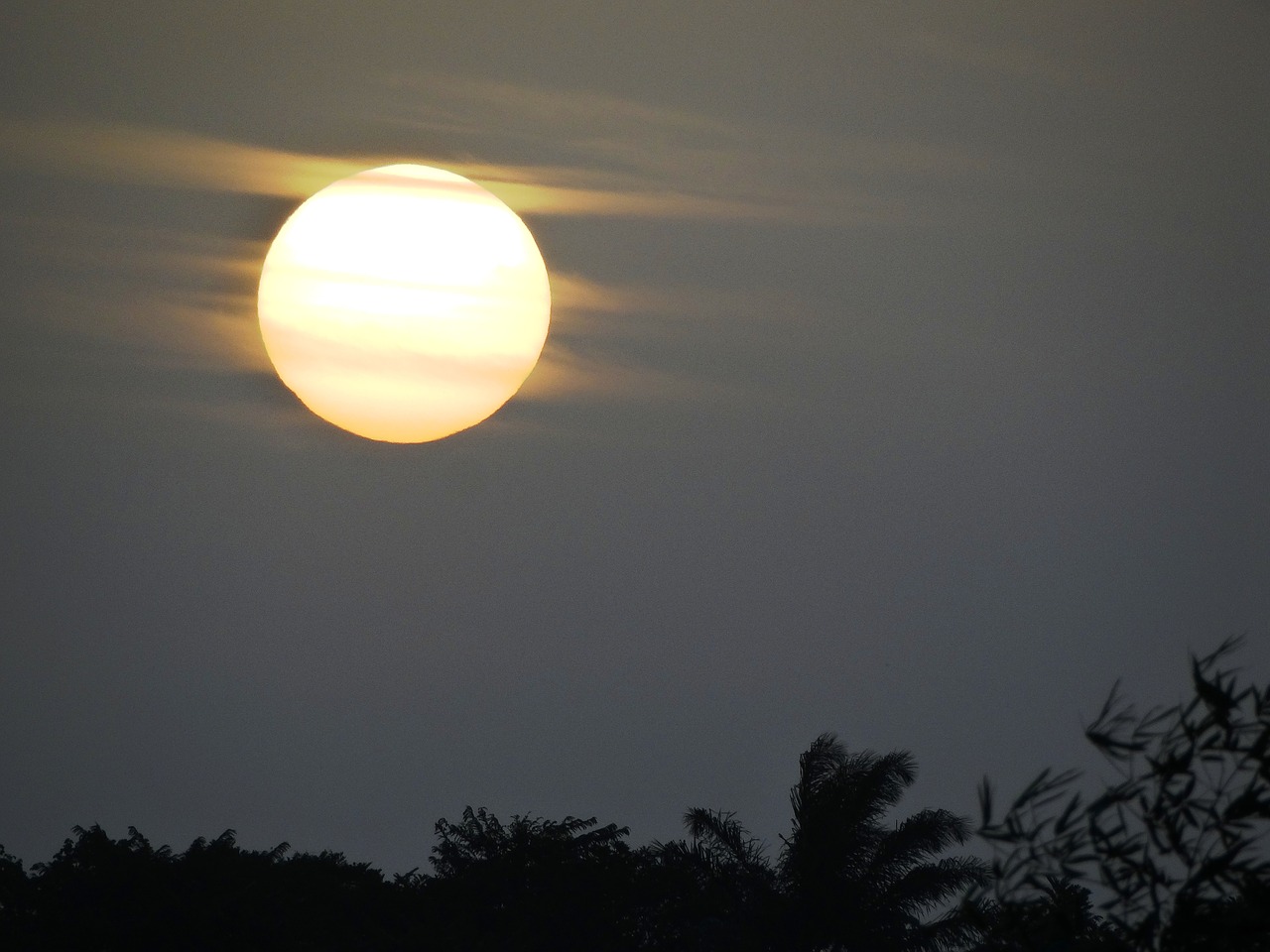 dawn amazonia sol free photo