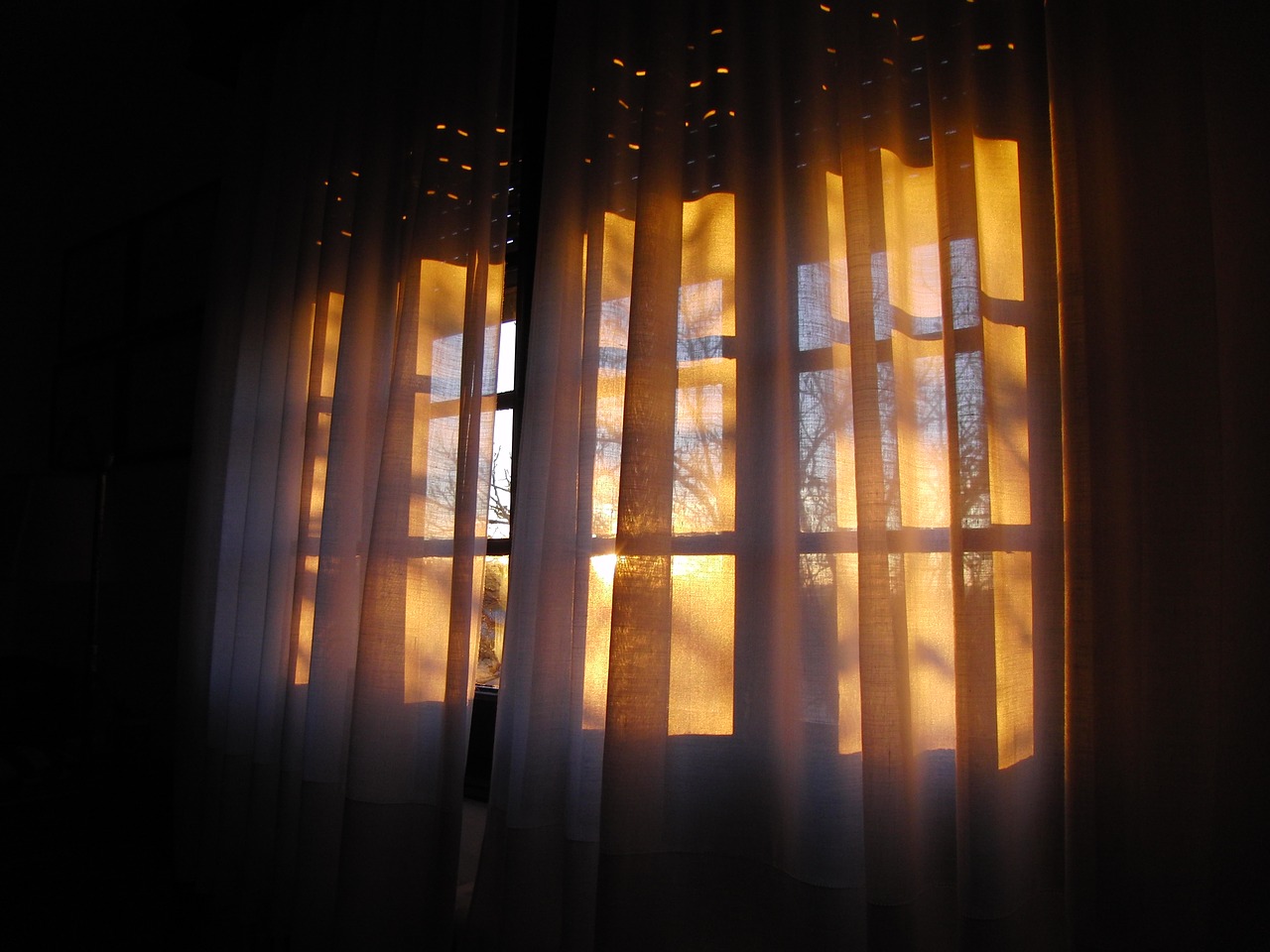 dawn window curtain free photo