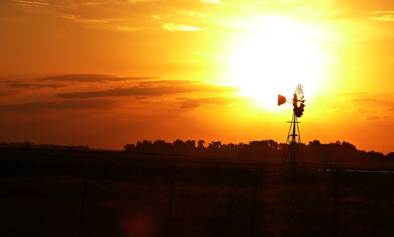 dawn field mill free photo