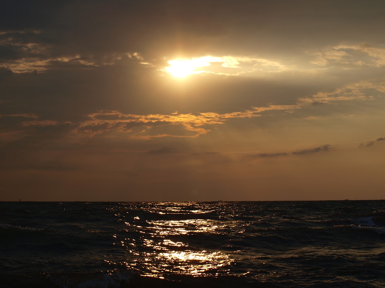 dawn sea summer free photo