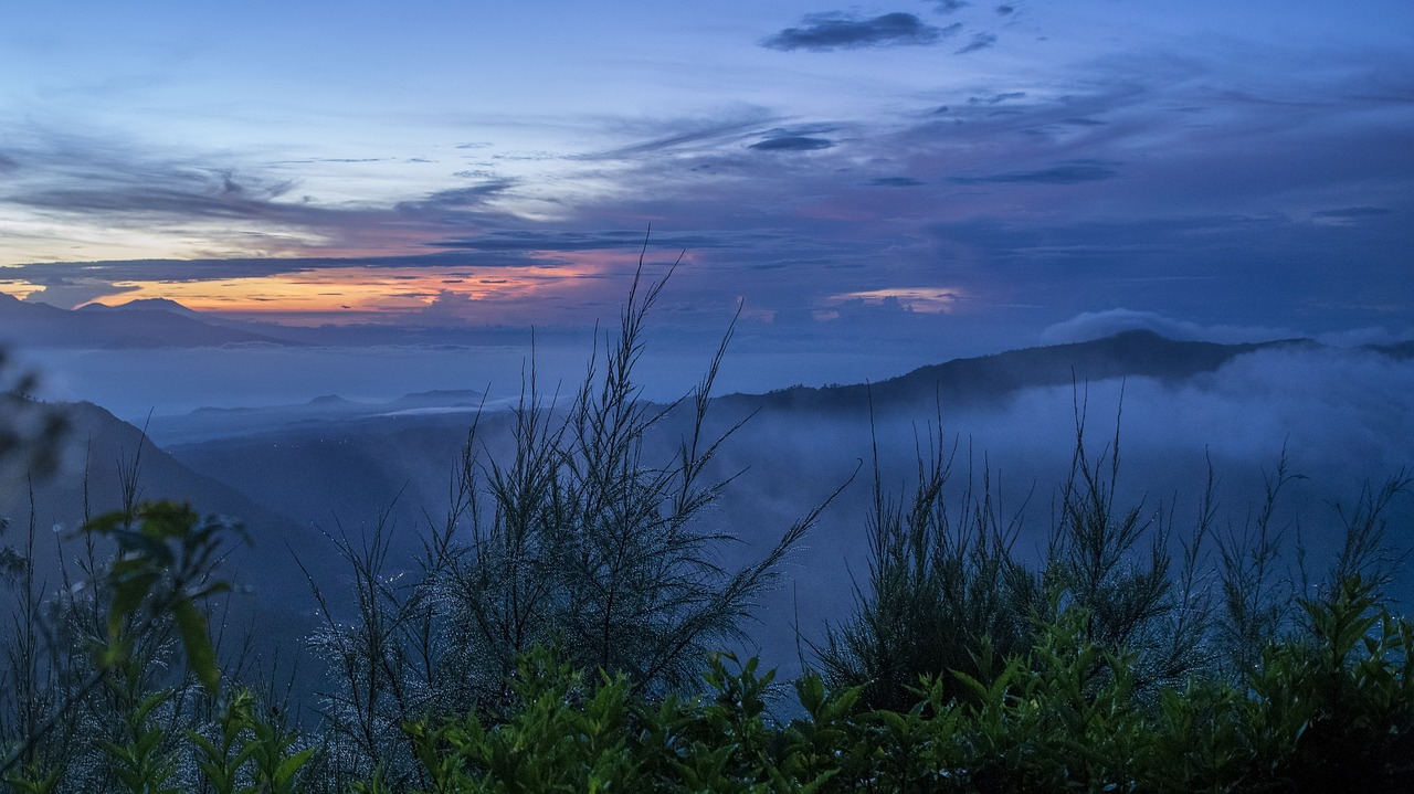 dawn mountain foggy free photo
