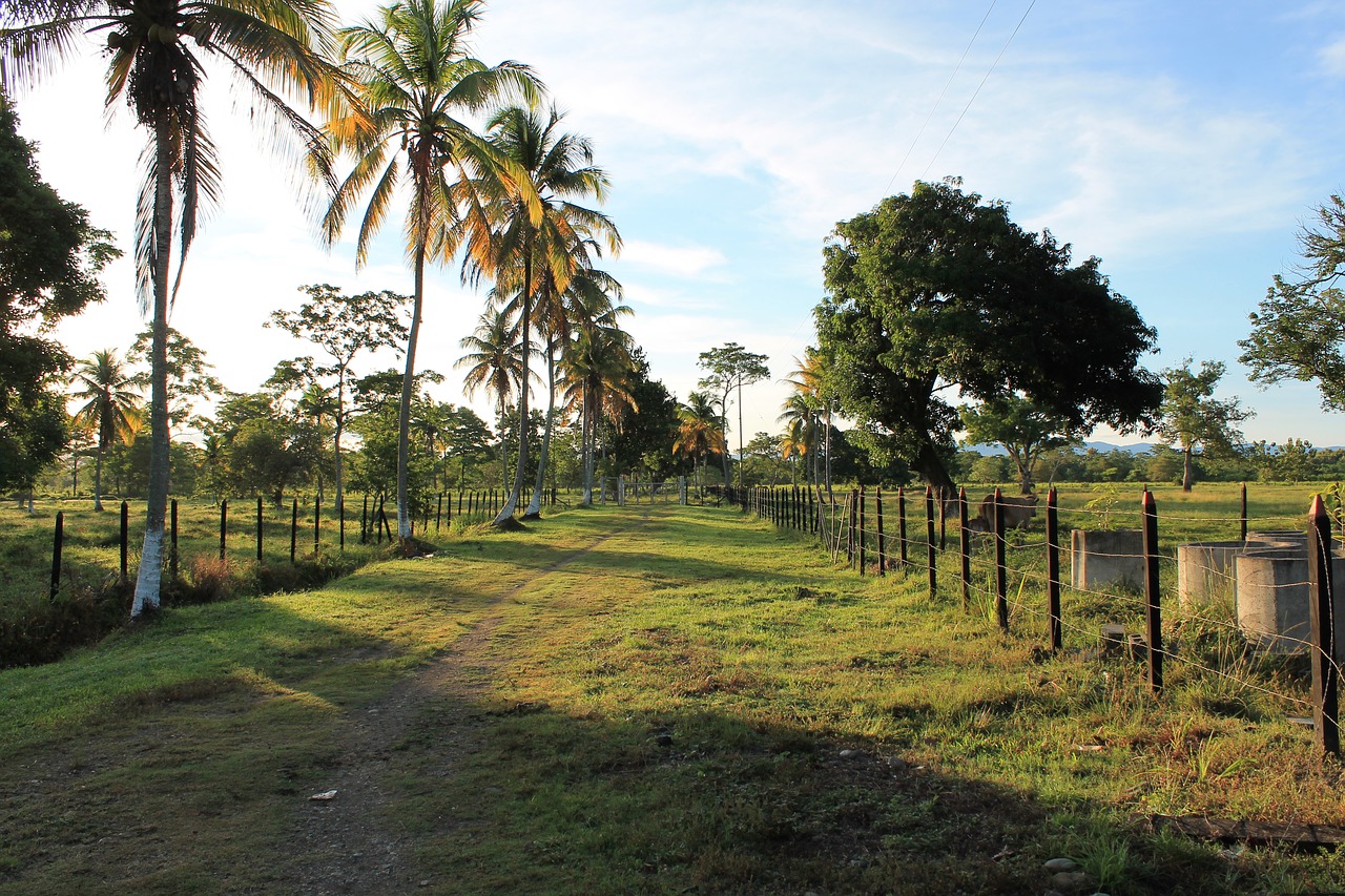 dawn farm earth free photo