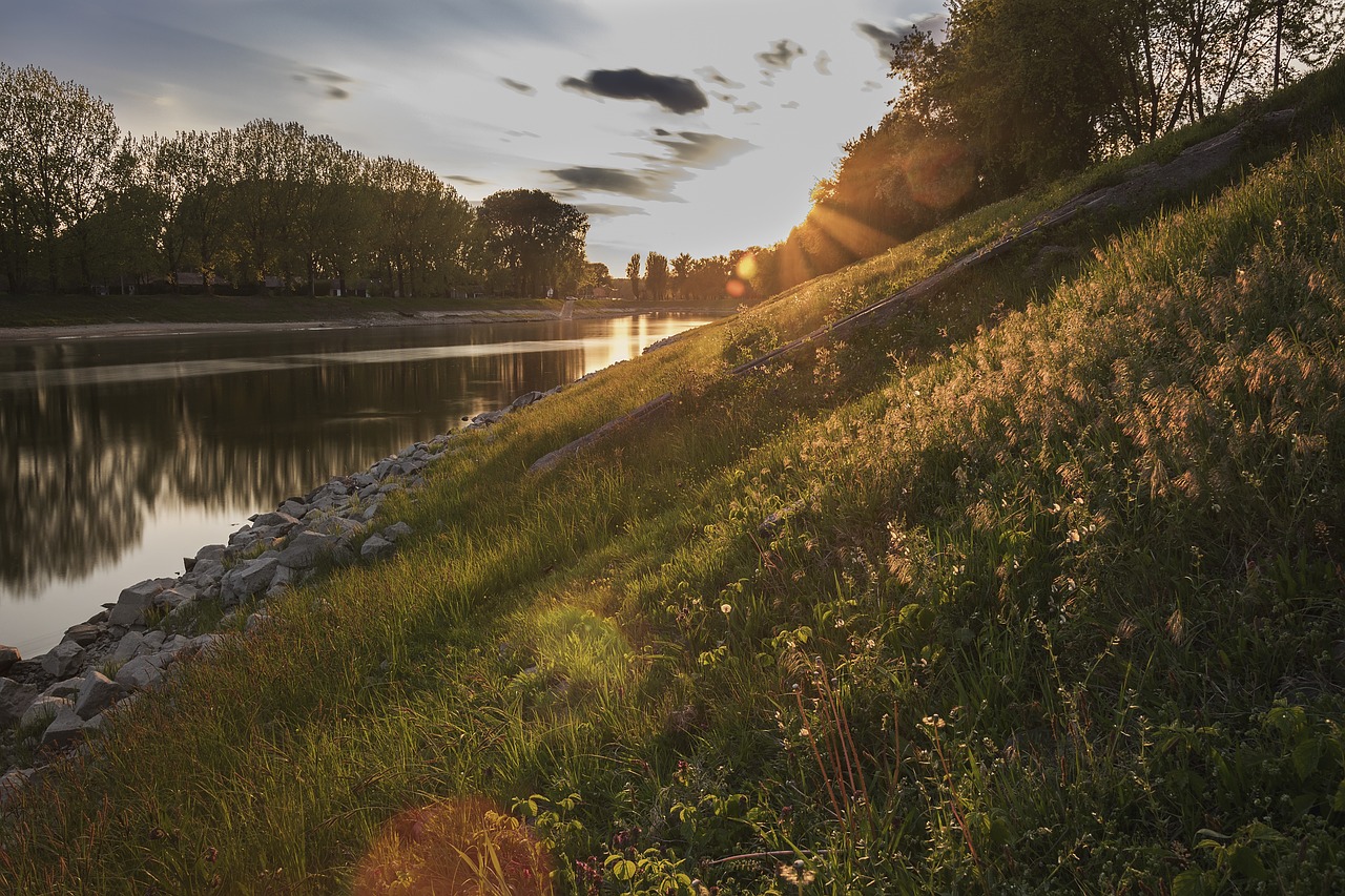 dawn dusk grass free photo