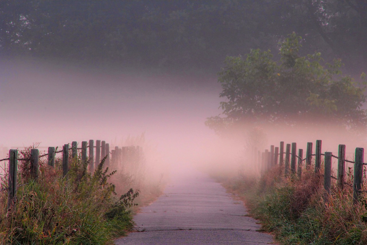 dawn fog landscape free photo