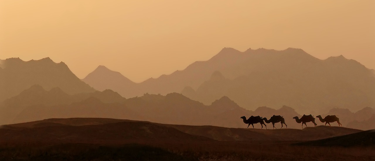 dawn desert sunset free photo