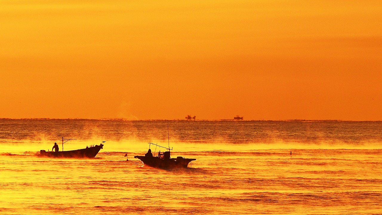 dawn  sea  between the tianjin airport free photo