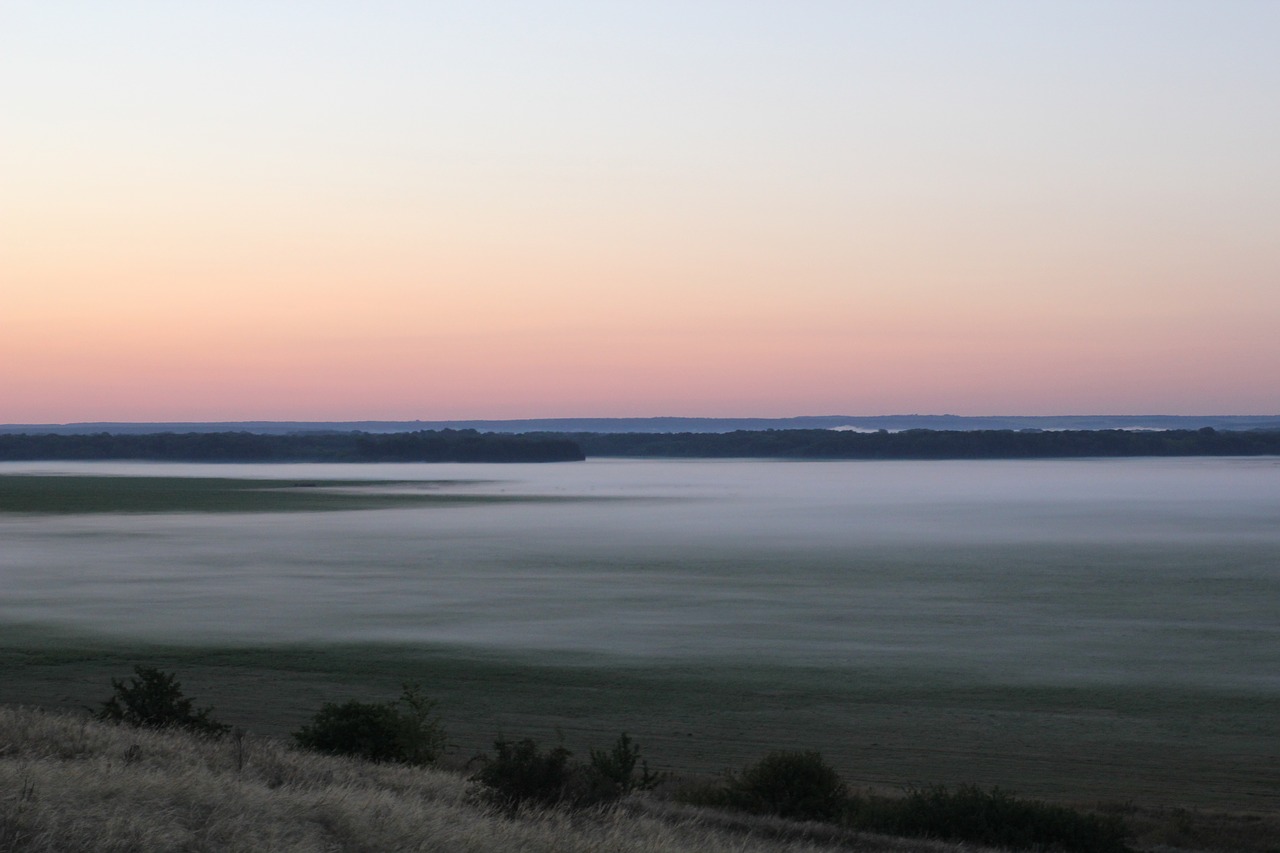 dawn  fog  trees free photo