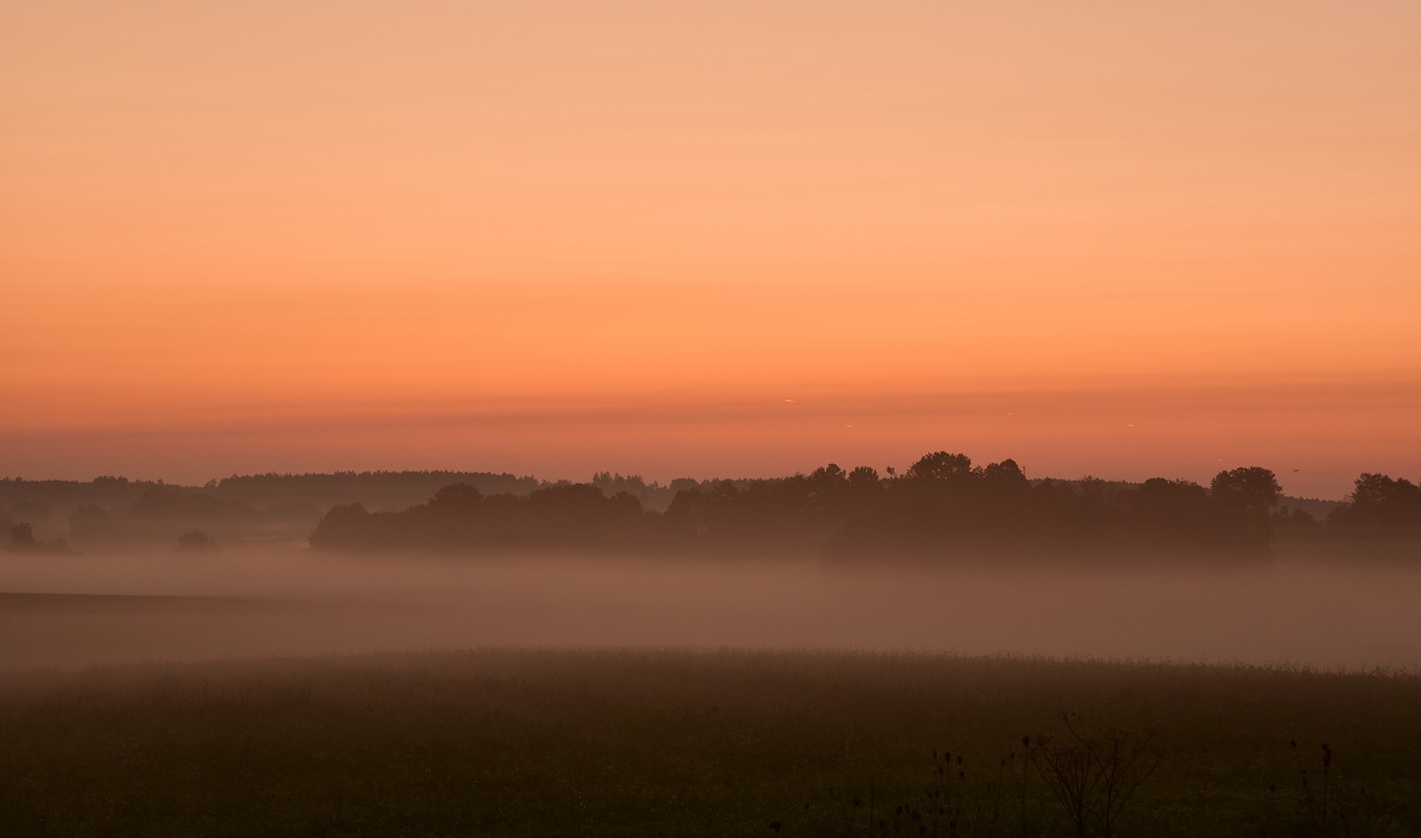 dawn  haze  horizon free photo