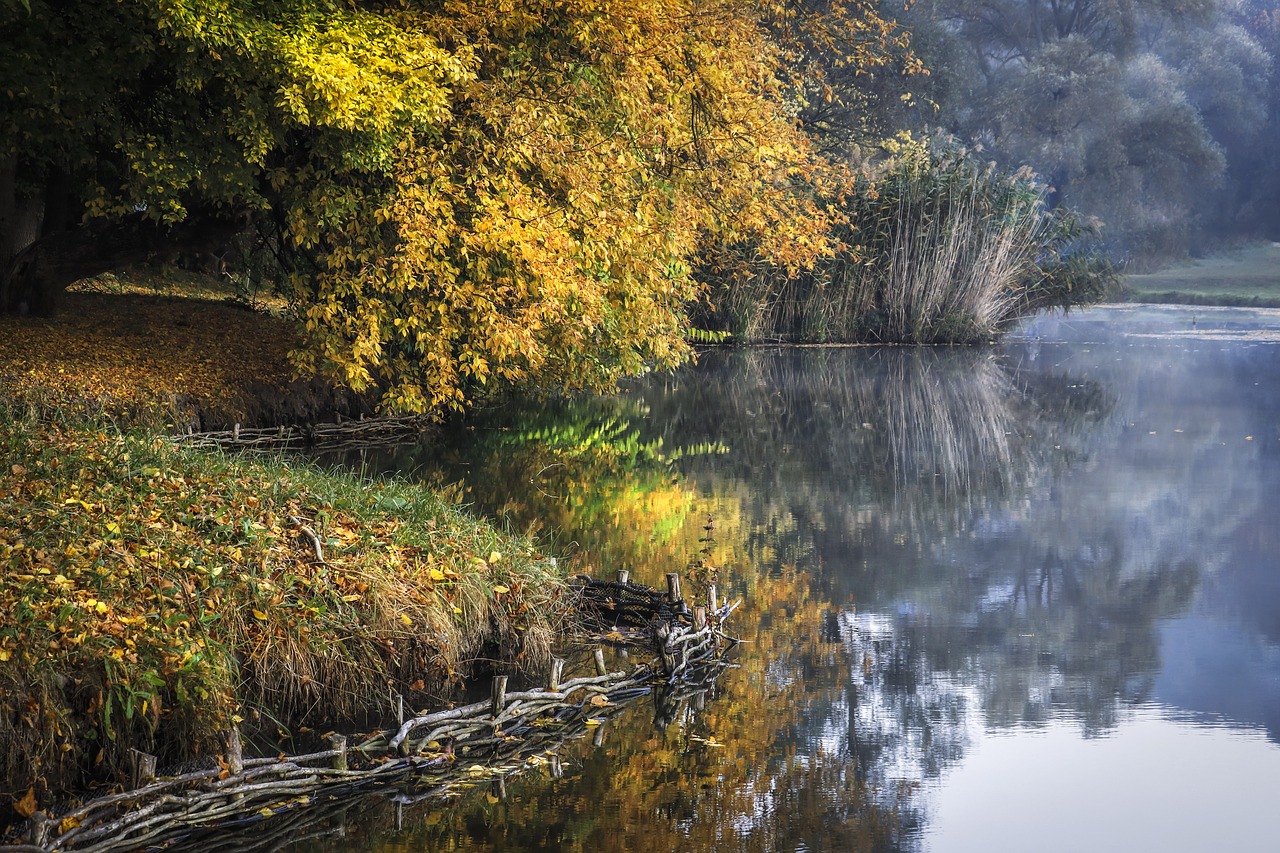 dawn  autumn  lake free photo