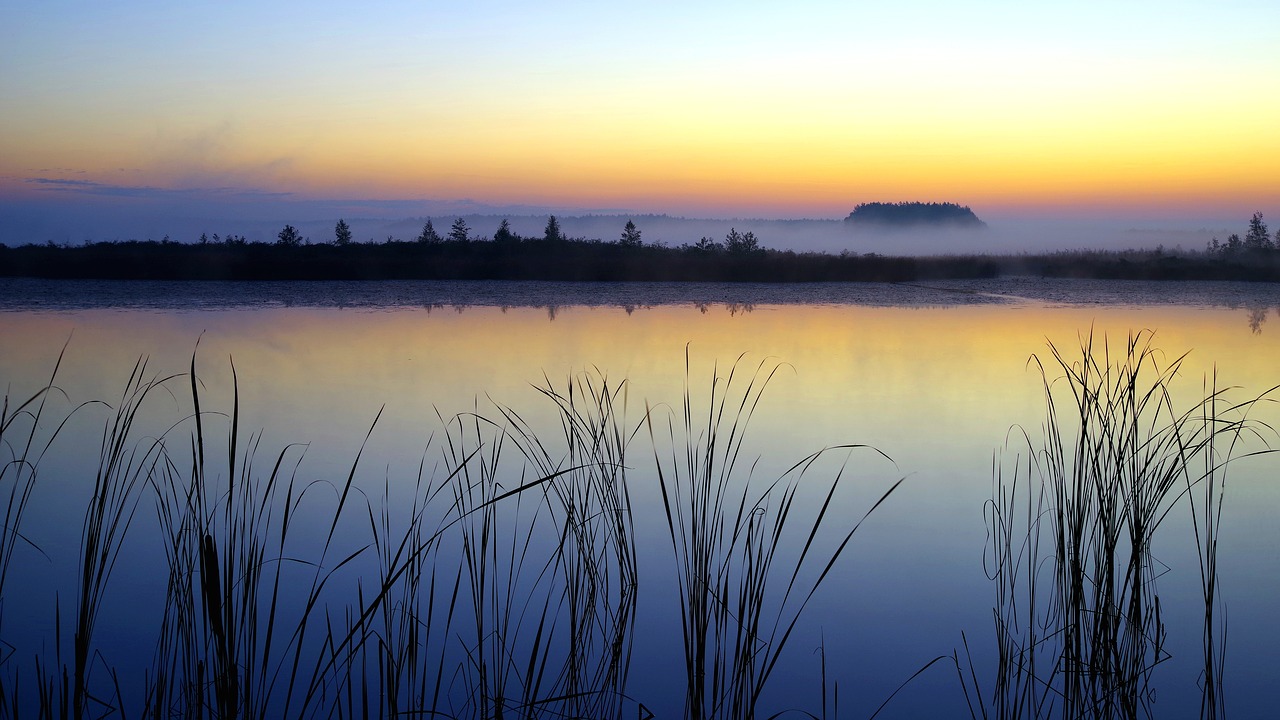 dawn  rushes  the fog free photo