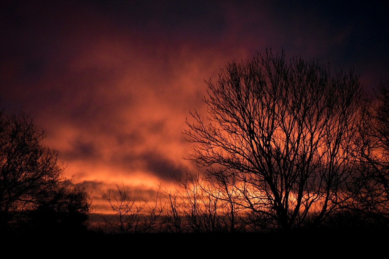 dawn  sky  landscape free photo