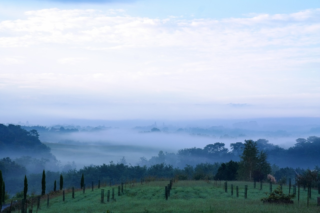 dawn  morgenstimmung  fog free photo