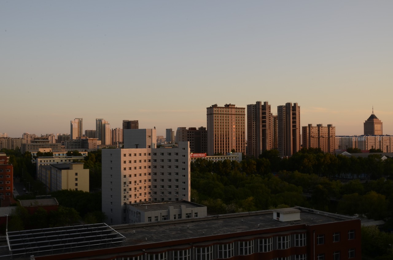 dawn  cityscape  skyline free photo