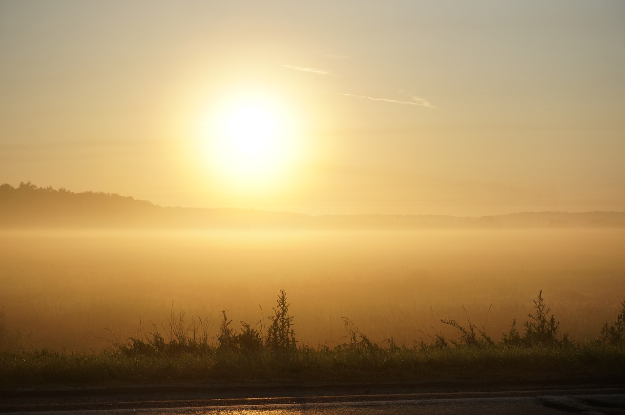 dawn  field  landscape free photo