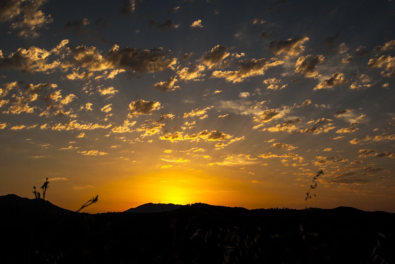 dawn sun nuebes free photo