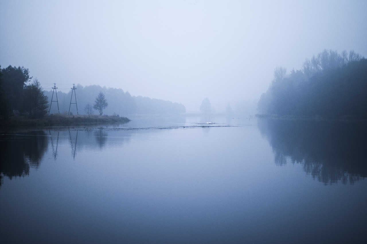 dawn morning river free photo