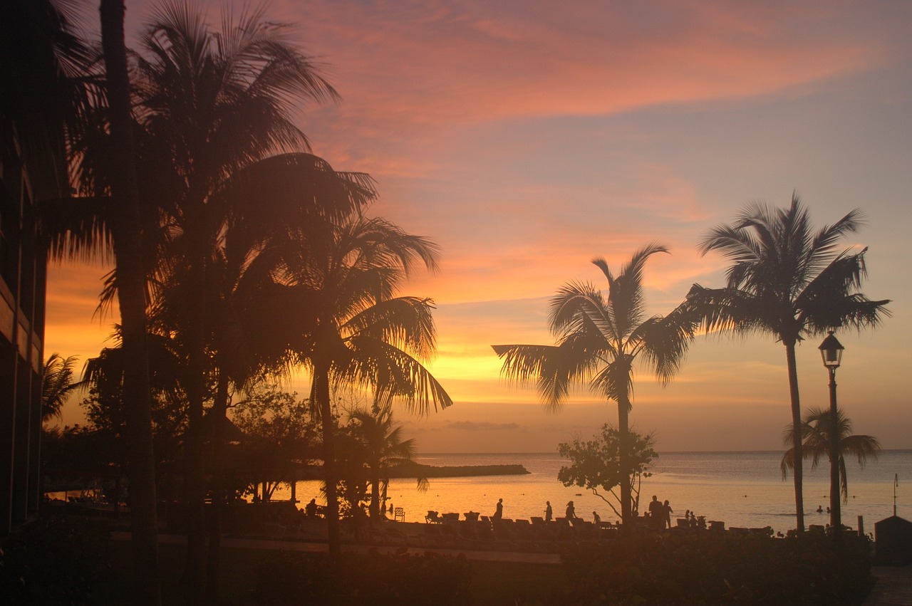 dawn in jamaika beach palms free photo
