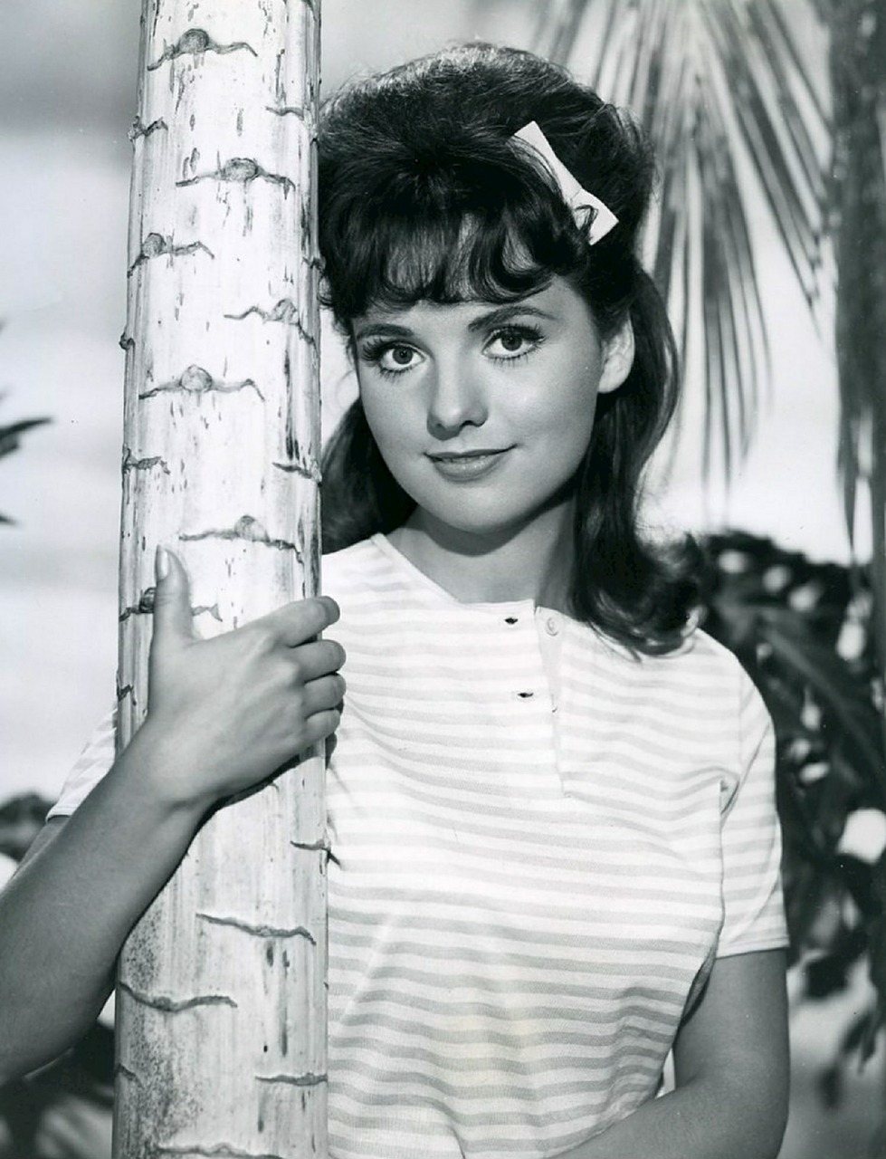 dawn wells actress television free photo