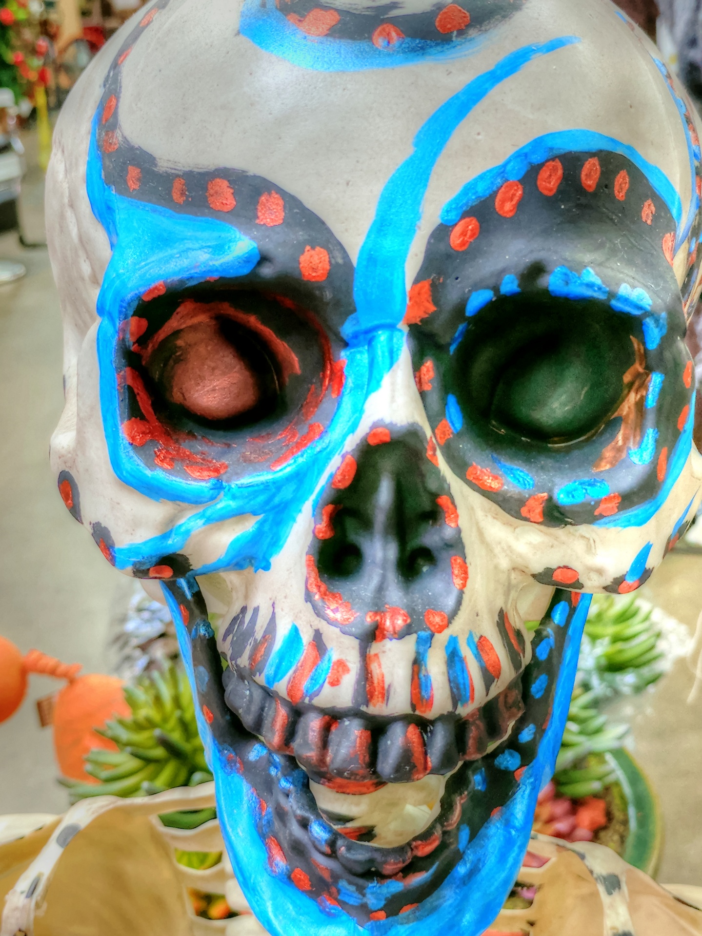 halloween skull skulls free photo