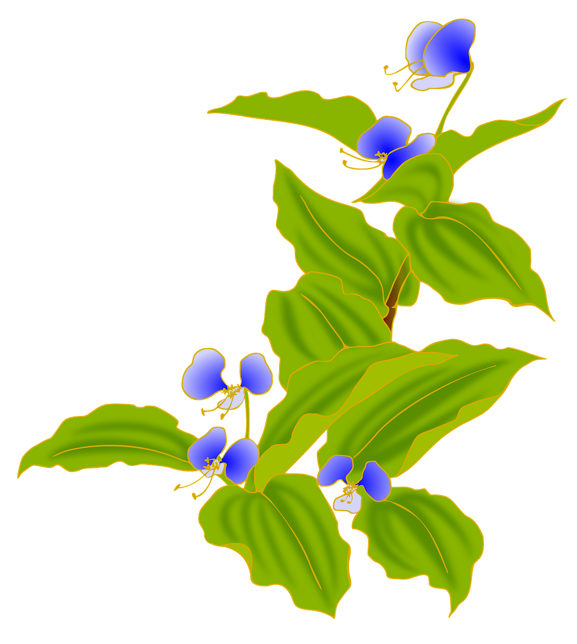 dayflower autumn blue free photo