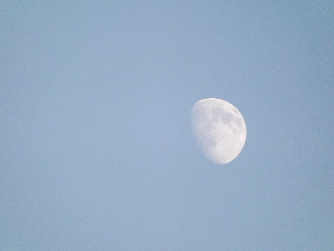 daylight moon moon lunar free photo