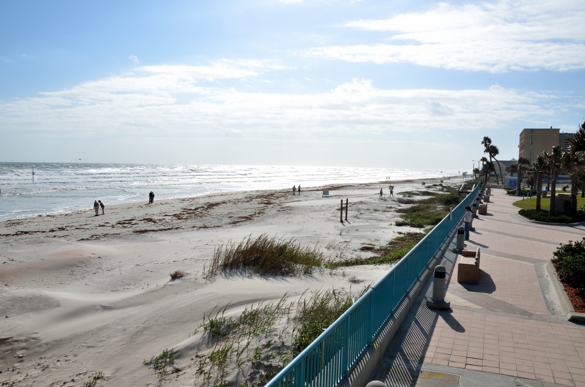 daytona beach florida usa free photo