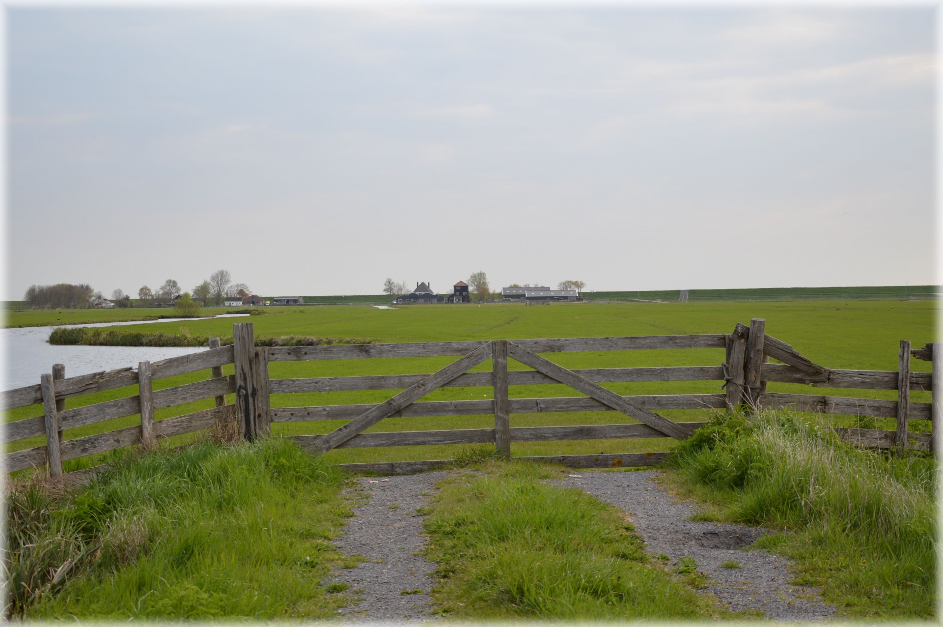 farm holland netherlands free photo