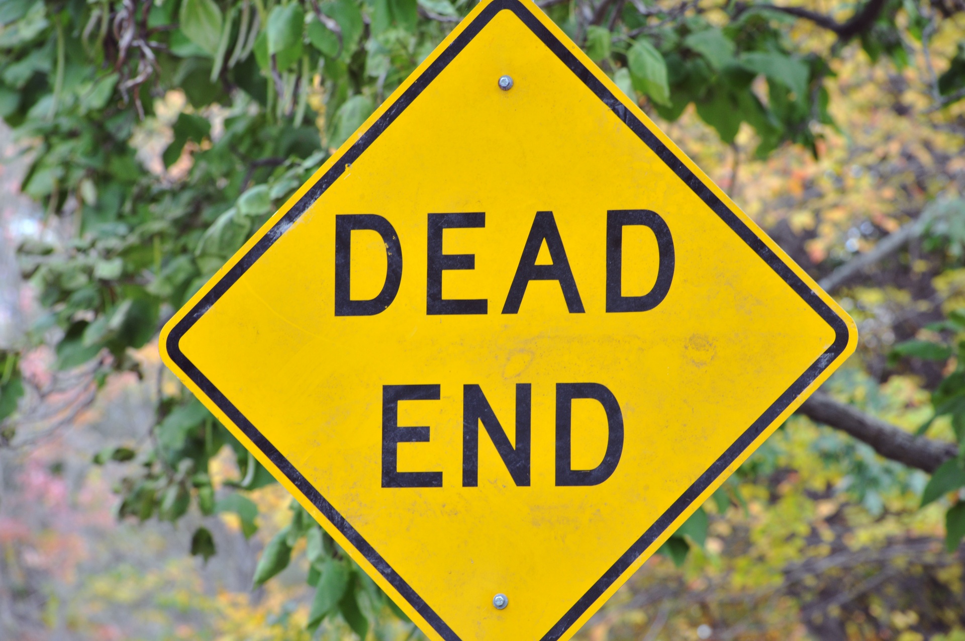 sign signs dead end free photo