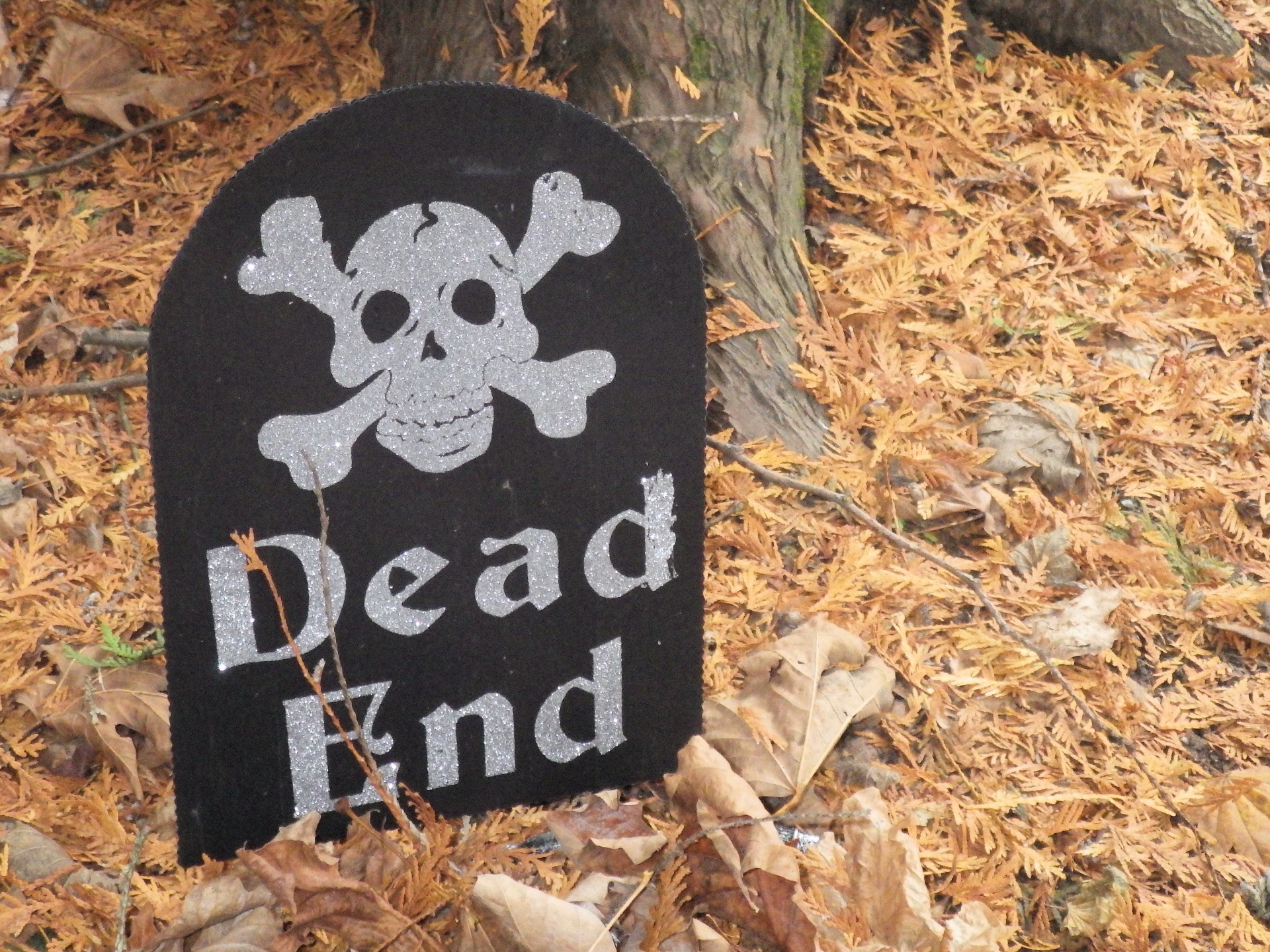 halloween dead end free photo