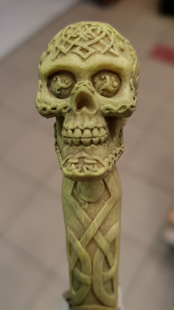 dead head  pen head  skull free photo