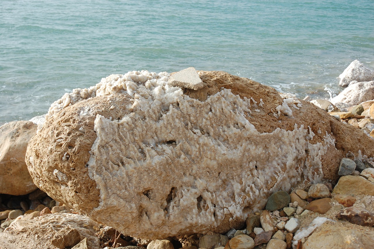 dead sea ocean beach free photo