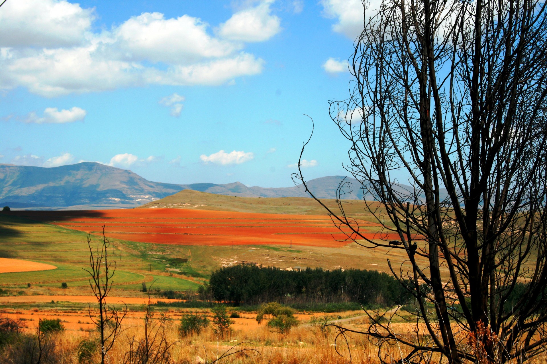 veld landscape eastern free state free photo