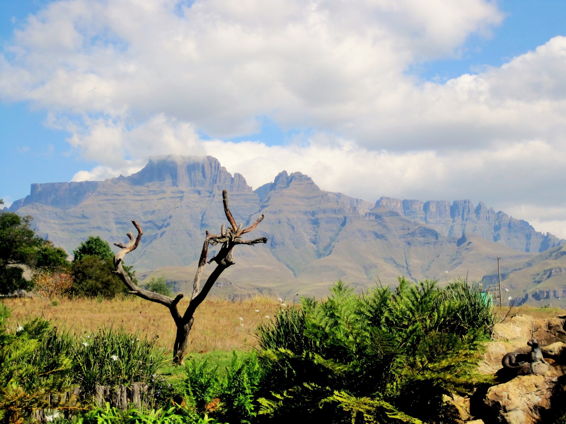 landscape mountains veld free photo