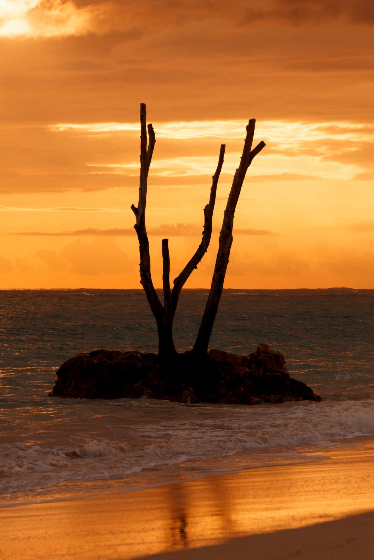 beach beautiful coast free photo