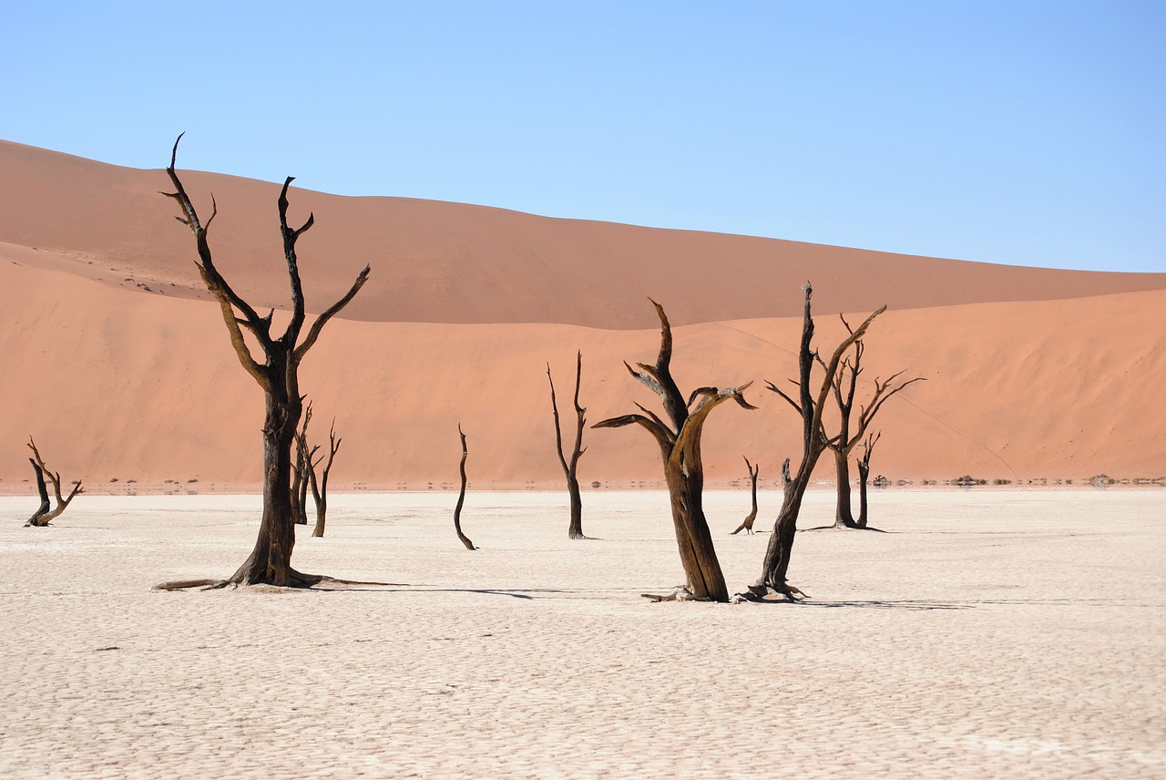 dead vlei namibia desert free photo