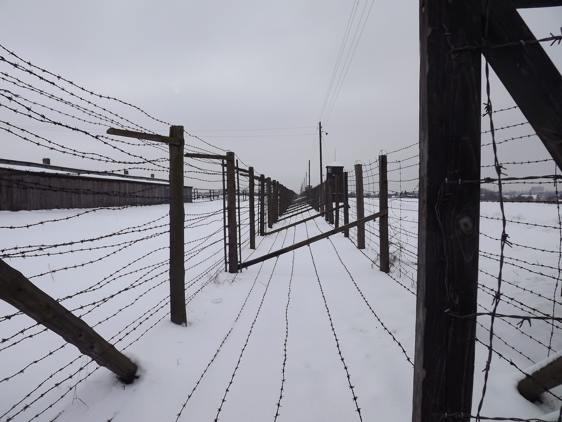 no man&#039;s land dead zone concentration camp free photo