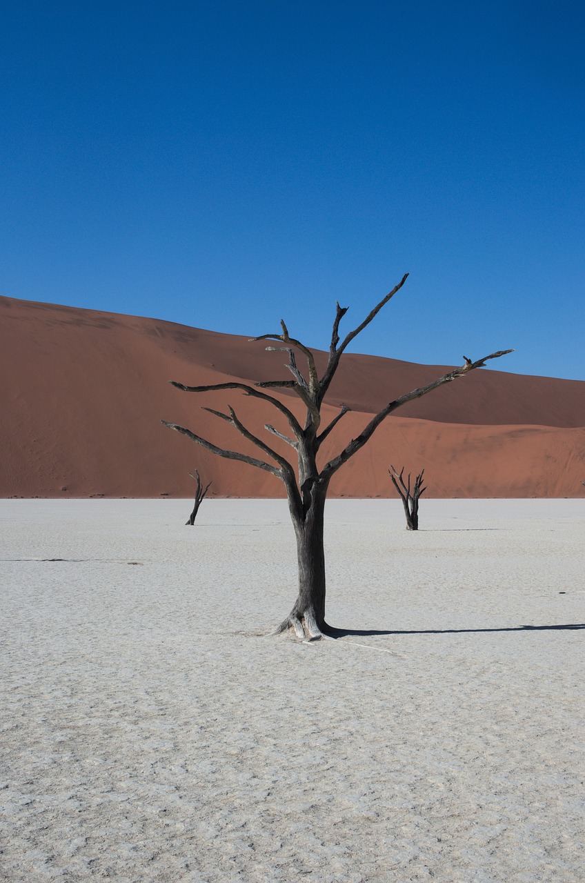 deadvlei namibia desert free photo