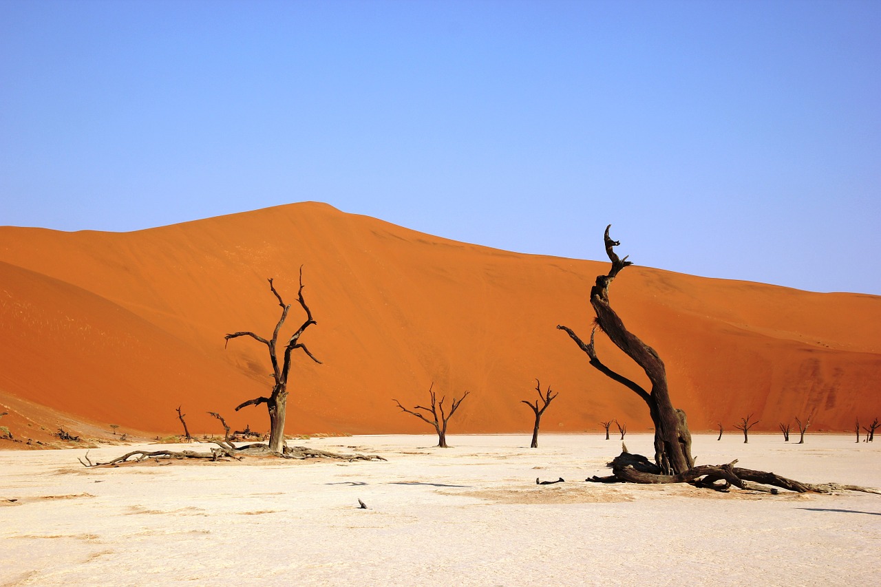 deadvly namibia desert free photo