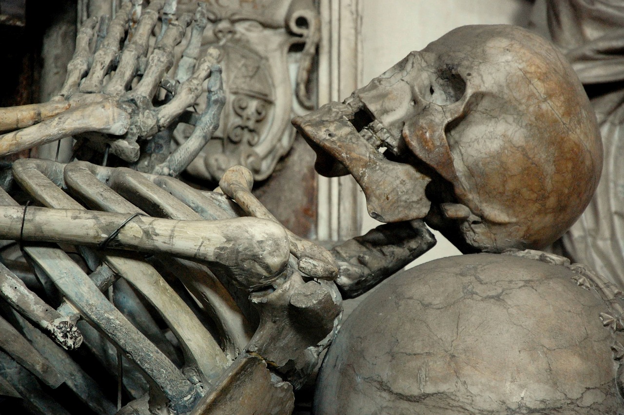 death skull and crossbones skeleton free photo